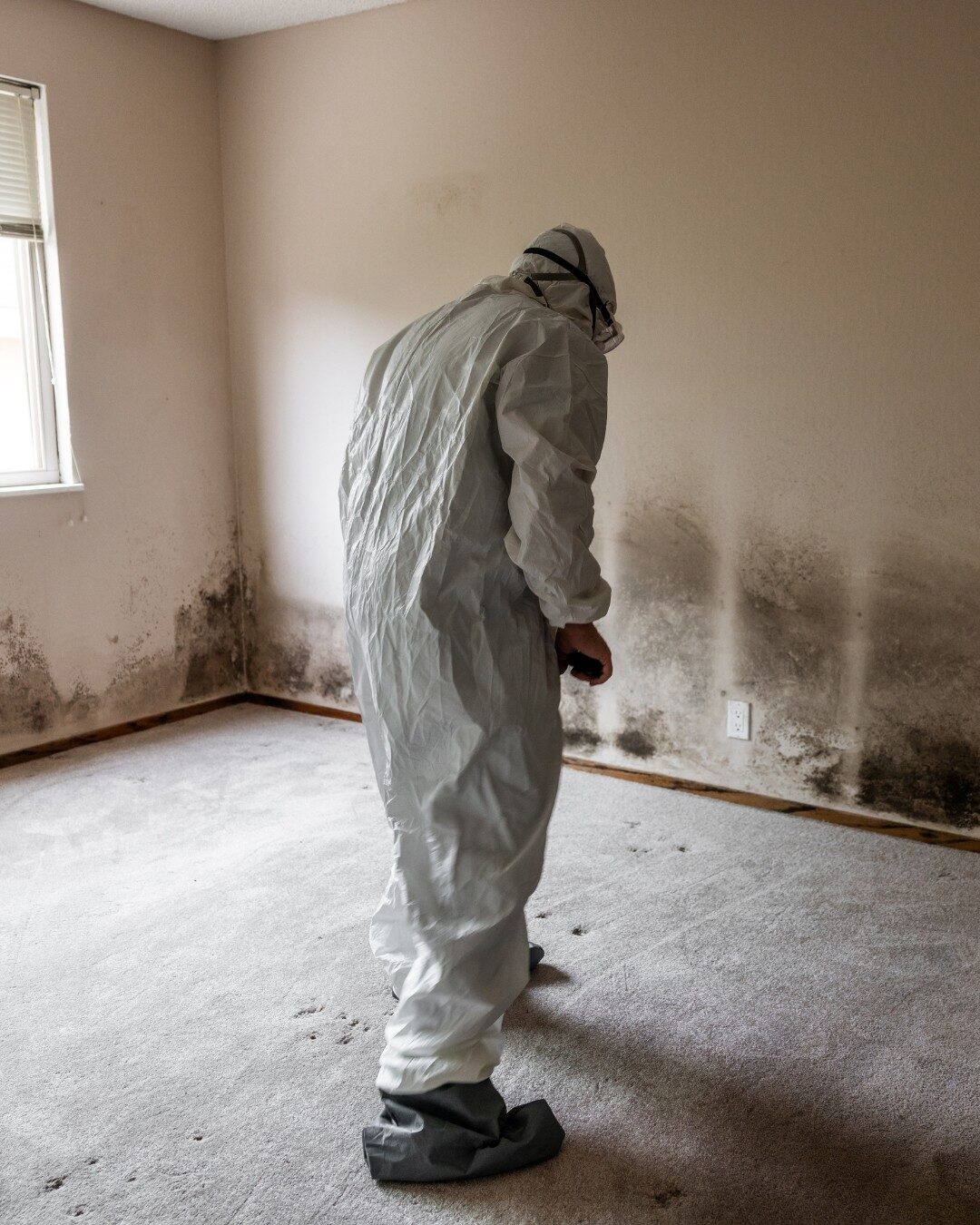 Environmental Remediation & Abatement